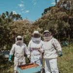 Three beekeepers in protective gear tending hives in a sunny forest apiary.